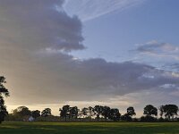 D, Brandenburg, Lenzerwische, Elbe valley near Kietz 3, Saxifraga-Tom Heijnen