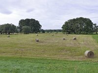 D, Brandenburg, Lenzerwische, Elbe valley near Lenzen 1, Saxifraga-Tom Heijnen