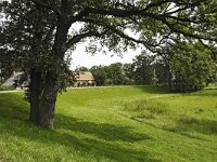 D, Brandenburg, Lenzerwische, Elbe valley near Lenzen 5, Saxifraga-Tom Heijnen