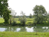 D, Brandenburg, Lenzerwische, Elbe valley near Lenzen 6, Saxifraga-Tom Heijnen