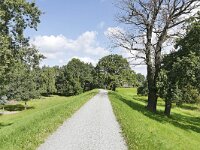 D, Brandenburg, Lenzerwische, Elbe valley near Lenzen 9, Saxifraga-Tom Heijnen