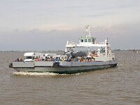 D, Niedersachsen, Wischhafen 2, Saxifraga-Foto Fitis-Sytske Dijksen