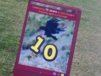 GB, Cornwall, Landewednack, Lizard Point 1, Saxifraga-Foto Fitis-Sytske Dijksen