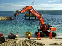 GB, Cornwall, Penwith, Working Island 1, Saxifraga-Foto Fitis-Sytske Dijksen