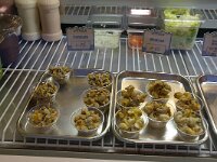 GB, Cornwall, St Ives 12, Cerastoderma edule and  Buccinum undatum, Saxifraga-Foto Fitis-Sytske Dijksen