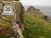 GB, Cornwall, St Ives, Gurnars Head 1, Saxifraga-Foto Fitis-Sytske Dijksen