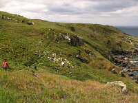 GB, Cornwall, St Ives, SW Coastpath 7, Saxifraga-Foto Fitis-Sytske Dijksen