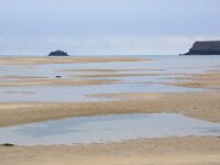 GB, Cornwall, St Minver, Rock 16, Saxifraga-Foto Fitis- Sytske Dijksen