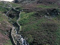 GB, Cumbria, Keswick, Dock Tarn 1, Saxifraga-Jan van der Straaten