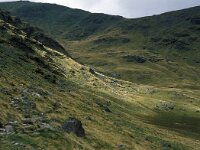 GB, Cumbria, Keswick, Gillercomb 1, Saxifraga-Jan van der Straaten