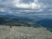 GB, Cumbria, Keswick, Great Gable 1, Saxifraga-Jan van der Straaten