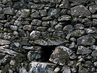 GB, Cumbria, Keswick, High Spy 2, Saxifraga-Jan van der Straaten