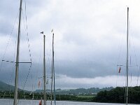 GB, Cumbria, Keswick, Nichel End 1, Saxifraga-Jan van der Straaten