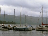 GB, Cumbria, Keswick, Nichel End 2, Saxifraga-Jan van der Straaten