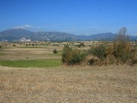 GR, Anatoliki Makedonia kai Thraki, Komotini 8, Saxifraga-Dirk Hilbers