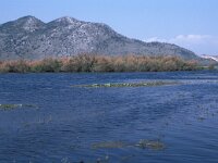 GR, Epirus, Preveza, Petra 2, Saxifraga-Jan van der Straaten