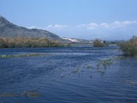 GR, Epirus, Preveza, Petra 3, Saxifraga-Jan van der Straaten