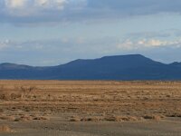 GR, Evros, Alexandroupolis, Evros Delta 7, Saxifraga-Dirk Hilbers