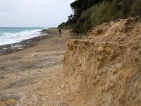 GR, Ionia Nisia, Kefalonia, Agios Thomas 3, Saxifraga-Foto Fitis-Sytske Dijksen