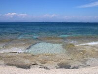 GR, Ionia Nisia, Lefkas 26, Saxifraga-Foto Fitis-Sytske Dijksen