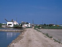 GR, Xanthi, Abdera, Porto Lagos 2, Saxifraga-Jan van der Straaten