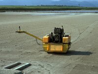 GR, Xanthi, Abdera, Porto Lagos 3, Saxifraga-Jan van der Straaten