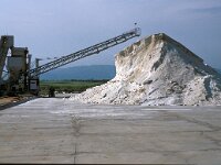 GR, Xanthi, Abdera, Porto Lagos 4, Saxifraga-Jan van der Straaten