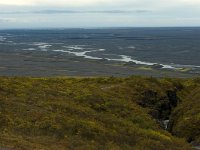 IS, Austurland, Austur-skaftafellssysla, Skaftafellsjokul 9, Saxifraga-Mira Hoogenboom