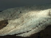 IS, Austurland, Austur-skaftafellssysla, Svinafellsjokull 10, Saxifraga-Mira Hoogenboom