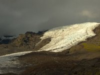 IS, Austurland, Austur-skaftafellssysla, Svinafellsjokull 11, Saxifraga-Mira Hoogenboom