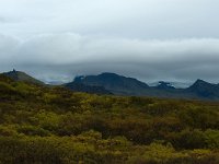 IS, Austurland, Austur-skaftafellssysla, Skaftafellsjokul 8, Saxifraga-Mira Hoogenboom