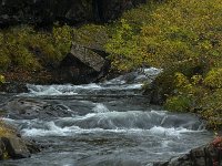 IS, Austurland, Austur-skaftafellssysla, Svartifoss 1, Saxifraga-Dick Hoogenboom