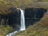 IS, Austurland, Austur-skaftafellssysla, Svartifoss 3, Saxifraga-Dick Hoogenboom