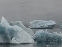 IS, Austurland, Hornafjoerdur, Jokulsarlon 1, Saxifraga-Peter Stein