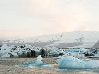 IS, Austurland, Hornafjoerdur, Jokulsarlon 12, Saxifraga-Peter Stein