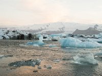 IS, Austurland, Hornafjoerdur, Jokulsarlon 13, Saxifraga-Peter Stein