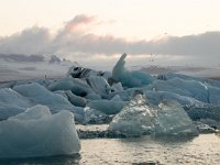 IS, Austurland, Hornafjoerdur, Jokulsarlon 16, Saxifraga-Peter Stein