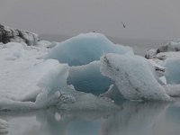 IS, Austurland, Hornafjoerdur, Jokulsarlon 3, Saxifraga-Peter Stein