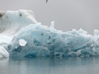 IS, Austurland, Hornafjoerdur, Jokulsarlon 8, Saxifraga-Peter Stein