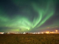 IS, Sudurnes, Reykjanesbaer, Gardur 14, Saxifraga-Bart Vastenhouw