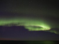 IS, Sudurnes, Reykjanesbaer, Gardur 5, Saxifraga-Bart Vastenhouw