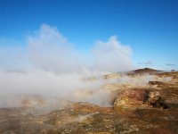 IS, Sudurnes, Reykjanesbaer, Reykjanes 1, Saxifraga-Bart Vastenhouw