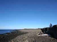 IS, Sudurnes, Reykjanesbaer, Reykjanes 10, Saxifraga-Bart Vastenhouw