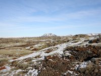 IS, Sudurnes, Reykjanesbaer, Reykjanes 9, Saxifraga-Bart Vastenhouw