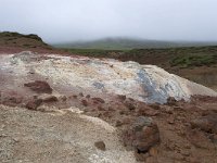 IS, Sudurnes, Reykjanesbaer, Seltun 4, Saxifraga-Peter Stein