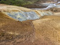 IS, Sudurnes, Reykjanesbaer, Seltun 5, Saxifraga-Peter Stein