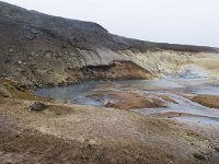 IS, Sudurnes, Reykjanesbaer, Seltun 6, Saxifraga-Peter Stein