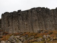 IS, Vesturland, Snaefellsbaer, Gerduberg 1, Saxifraga-Mira Hoogenboom