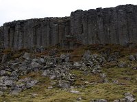 IS, Vesturland, Snaefellsbaer, Gerduberg 2, Saxifraga-Mira Hoogenboom