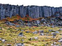 IS, Vesturland, Snaefellsbaer, Gerduberg 4, Saxifraga-Mira Hoogenboom